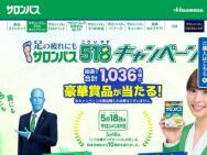 Salon BOOK˥󥰥塼ѥ ꥸʥ륮եȥɢ1,036̾