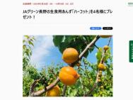 JA꡼ĹѤ󤺡֥ϡåȡ