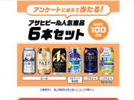 Ƥ褦󥱡ȥڡ󡡥ҥӡ͵6ܥåȢ100̾