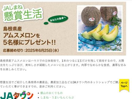 島根県産アムスメロン
