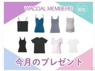 GOCOCi֥åդʡס֥ Х 拾֥󥺥(Ⱦµ) ʤɢ17̾
