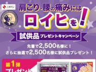 ꡦˤߤˤϥҤ򡪻ʥץ쥼ȥڡ󡡥ҹѥץե ʢ5,000̾