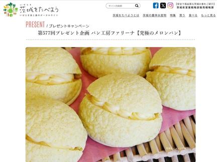 ѥ˼ե꡼ ˤΥѥ