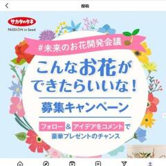 Υͤȹͤ #̤Τֳȯġ instax mini 41ӡޥǥե塼30̾