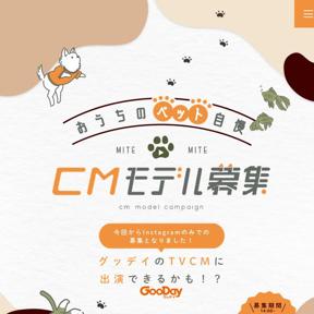 Υڥåȼ CMǥ罸ξܺ