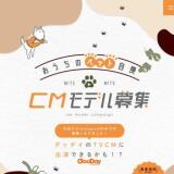 Υڥåȼ CMǥ罸γ