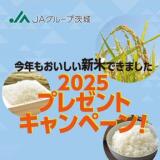 븩ƥץ쥼ȥڡ2025γ