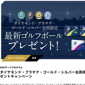 GDO䡼ɥץ७ڡξܺ