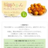 博多元気ドットコム★プレゼントキャンペーンの概要