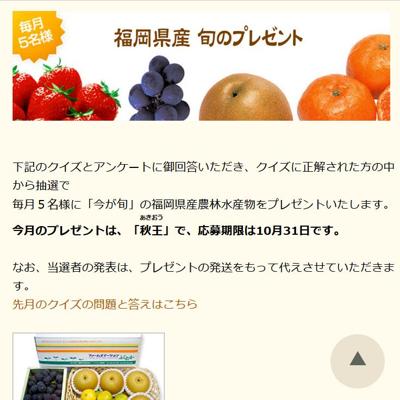 福岡県産 旬のプレゼントの詳細