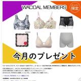My Wacoal Сץ쥼Ȥγ