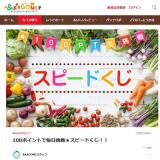 100ポイントで毎日挑戦★スピードくじの概要