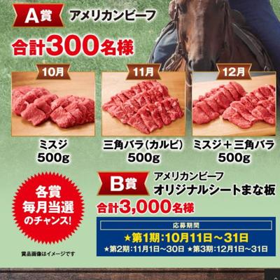 Journey to American Beef 2025 Autumn Campaignξܺ