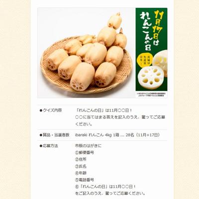 れんこんの日キャンペーンの詳細