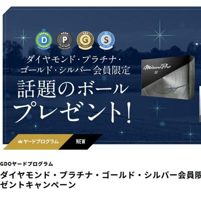 GDOヤードプログラムキャンペーンの詳細