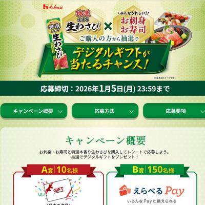 ܹ蘆 ǥ륮եȤ󥹤ξܺ