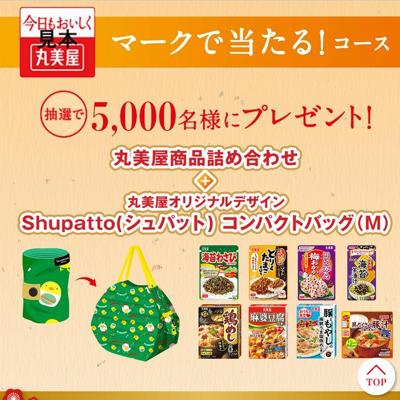 ��²�ν�̴�����ڡ���ξܺ�