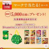 ��²�ν�̴�����ڡ���γ���