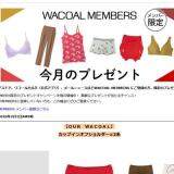 My Wacoal ���С�����ץ쥼��Ȥγ���