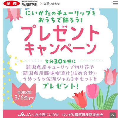 にいがたのチューリップをおうちで飾ろう!プレゼントキャンぺーンの詳細