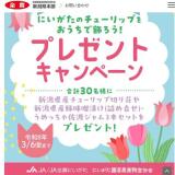 �ˤ������Υ��塼��åפ򤪤����Ǿ��������ץ쥼��ȥ����ڡ���γ���