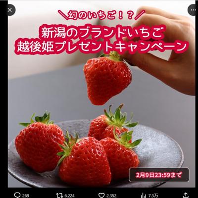 �۸�ɱ�ץ쥼��ȥ����ڡ���ξܺ�