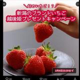 �۸�ɱ�ץ쥼��ȥ����ڡ���γ���