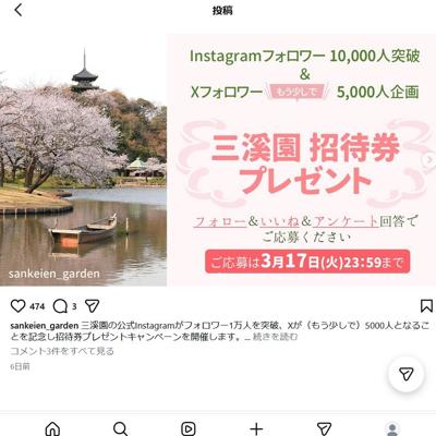 ��������SNS���Է��ץ쥼��ȥ����ڡ���ξܺ�