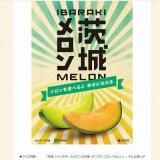 ������ͭ���������ibaraki �ܤΥ����ץץ쥼��ȥ����ڡ���γ���