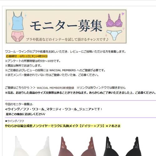 ��ӥ塼��˥����罸���ξܺ�