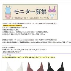 ��ӥ塼��˥����罸���γ���