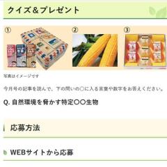 �̤ι����� ���������ץ쥼��Ȥγ���