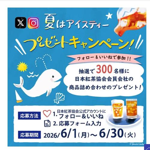 �ֲƤϥ������ƥ����ץץ쥼��ȥ����ڡ���ξܺ�
