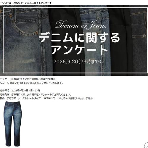 �ǥ˥�˴ؤ��륢�󥱡��Ȥξܺ�