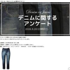 �ǥ˥�˴ؤ��륢�󥱡��Ȥγ���