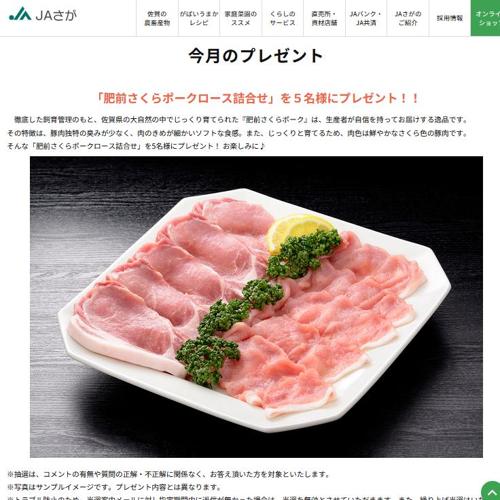 ����Υץ쥼��Ȥξܺ�