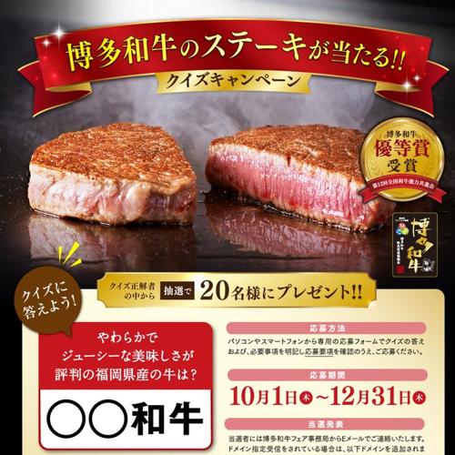 ����¿�µ��Υ��ơ����������롪���ץ����������ڡ���ξܺ�
