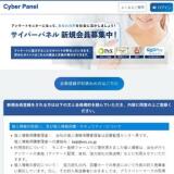サイバーパネルの概要