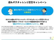 ꥸʥ޽񥫡(500ʬ)륱ʵͤ碌