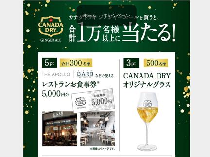 ٤ǥݥ 300ʬCANADA DRY ꥸʥ륰饹쥹ȥ󤪿(5,000ʬ)