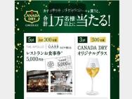 ٤ǥݥ 300ʬCANADA DRY ꥸʥ륰饹쥹ȥ󤪿(5,000ʬ)