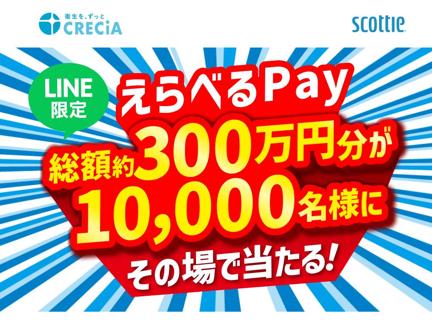 ٤Pay 5,000ݥȡ٤Pay 1,000ݥȡ٤Pay 120ݥ