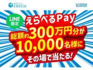 ٤Pay 5,000ݥȡ٤Pay 1,000ݥȡ٤Pay 120ݥ