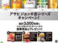 ͵ Х ѡBRUNO ѥȥۥåȥץ졼ȡҥѡɥ饤 å̢3,000̾
