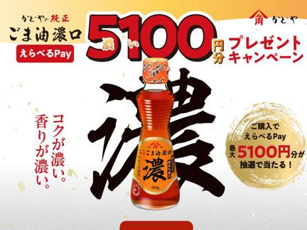 ٤Pay(5,100ʬ)٤Pay(1,000ʬ)