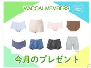 My Wacoal Сץ쥼ȡ拾֥硼ġס֥ Х 拾֥ܥѥ(Ĥ) ʤɢ21̾
