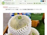 ٽŻΥХ饭