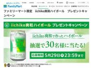 եߥ꡼ޡȸ iichiko¥ϥܡ ץ쥼ȥڡiichiko¥ϥܡ(1)30̾