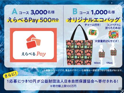 ٤Pay(500ʬ)ꥸʥ륨Хå