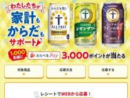 ٤Pay(3,000ʬ)